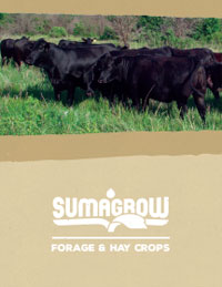 SumaGrow Forage and Hay Crops Bifold