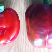 comparison of bell peppers treated with SumaGrow vs NPK