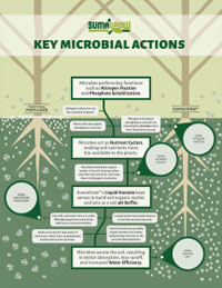 SumaGrow Key Microbial Actions Infographic