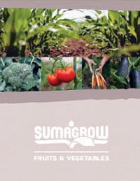 SumaGrow Fruits and Vegetables large format trifold brochure